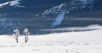 Yellowstone in winter