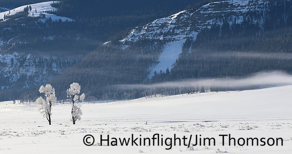 Yellowstone in winter