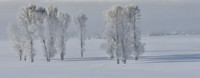 Yellowstone in winter