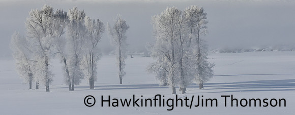 Yellowstone in winter