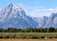 Grand Tetons