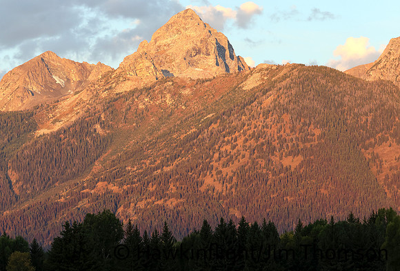 Grand Tetons